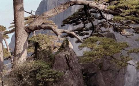 黄山导游词通用15篇