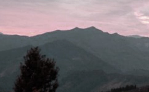 ���ȡ���ɽ���δ�