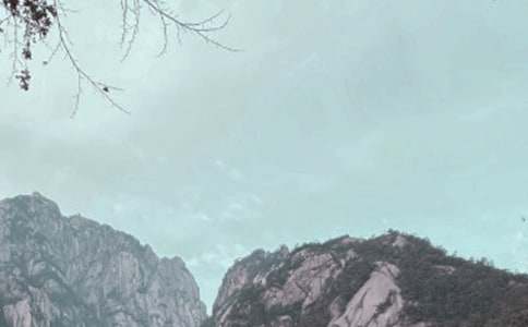 �λ�ɽ���δ�6ƪ