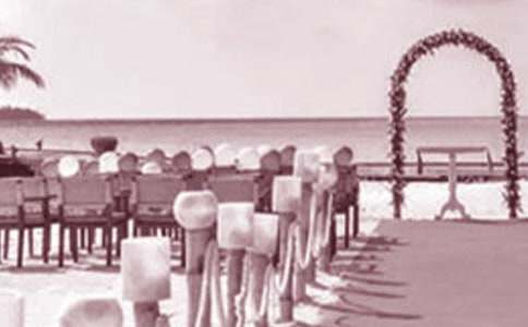 �������ִʽ���10ƪ