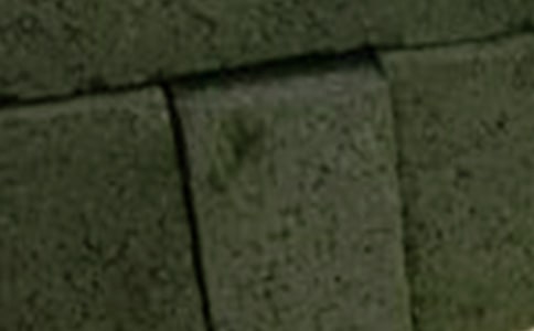 ��������ƺ��ͬ