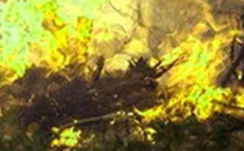 (��ѡ)������ɢ��Ӧ��Ԥ��15ƪ