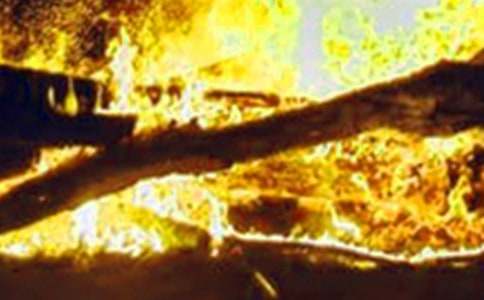 ���ֺ��ڱ���Ӧ��Ԥ������