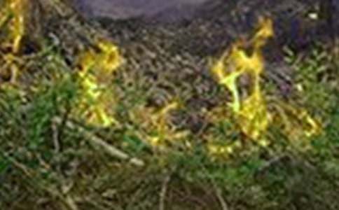 ������ɢ��Ӧ��Ԥ��15ƪ��ʵ�ã�