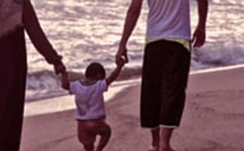 ȫ����ͥ���������ܻ�ܽ�(14ƪ)