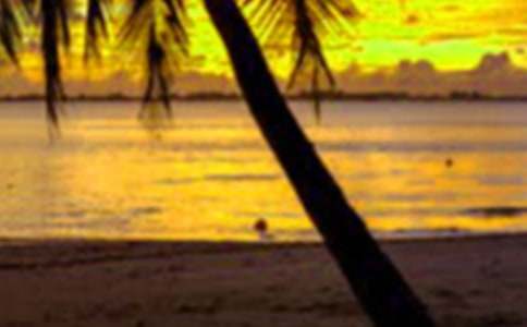 (��)���ڵ�һ������10ƪ