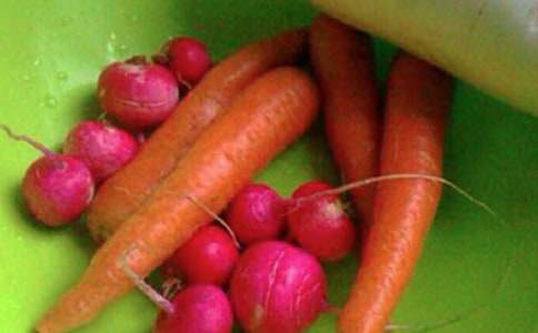 �����������������ܽ�