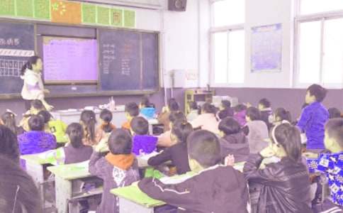 ���꼶��ѧ��Ʒ��������ѧ�����ܽ�4ƪ