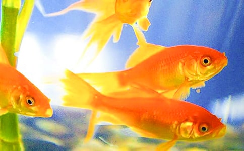 ��д���������[��]