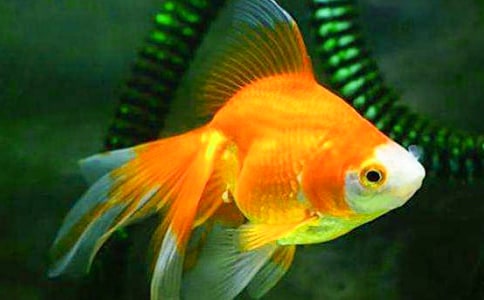 ��д��������600��3ƪ