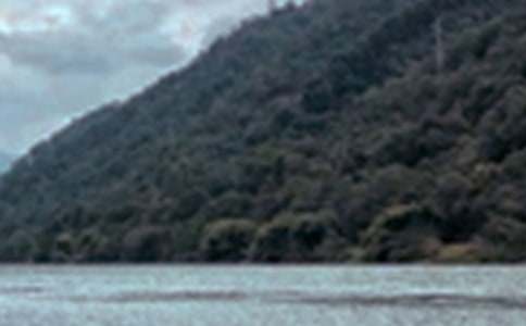 精选五年级景色作文300字汇总9篇