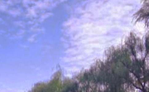 乡村景色作文四年级下册