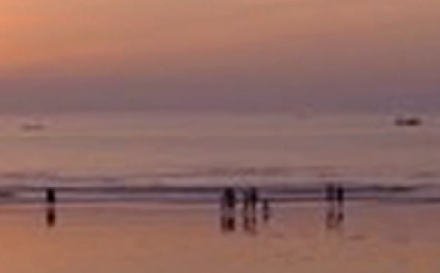 һ�������ľ�ɫ������