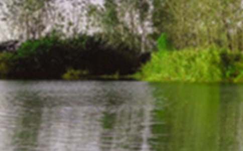 ���꼶��徰ɫ����4ƪ(��ѡ)