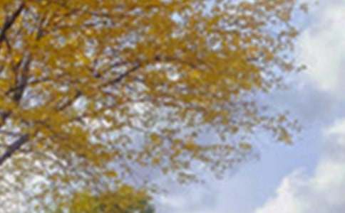 美丽景色作文300字(精选93篇)