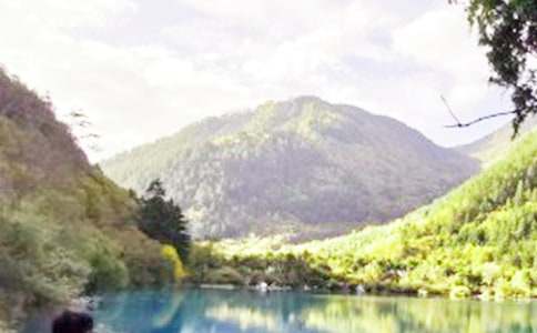 ���ھ�կ�����δ�