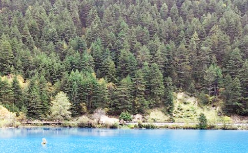 ��կ�����δ�(15ƪ)