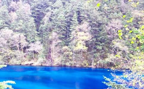 ��կ�����δʺϼ�15ƪ