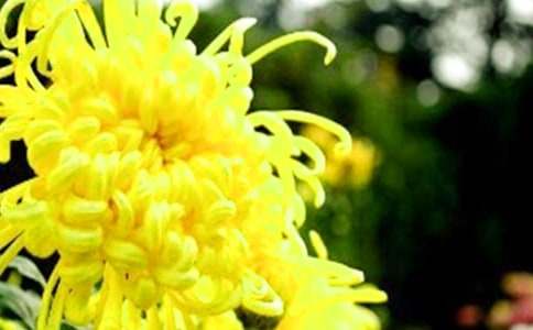 ���������ջ�����