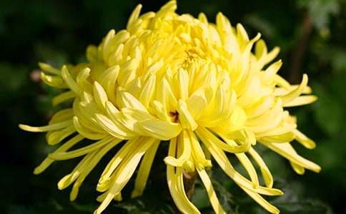 (�ر�)�����ľջ�����