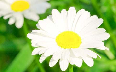 �����ľջ����ġ��ȡ�