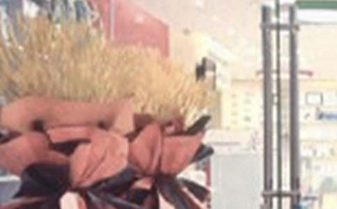 ��ҵ������ﾫѡ15ƪ