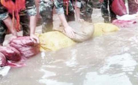 ���������սʿ��һ���л��