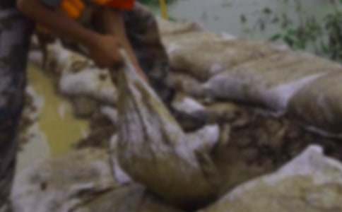 ������ָ����Ƚ��¼����£���ѡ34ƪ��