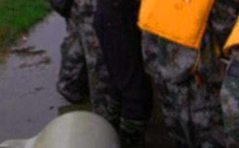 �����������������