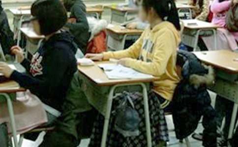 ���п��Ժ�������ʽ������