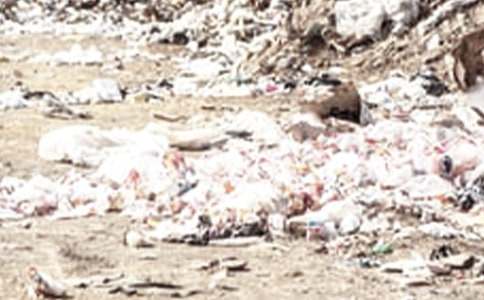 关于乱扔垃圾的建议书