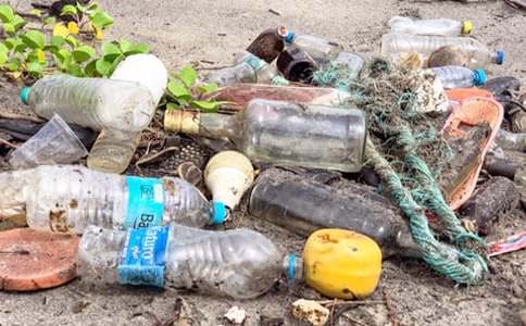 ��ɫ������һ������500��