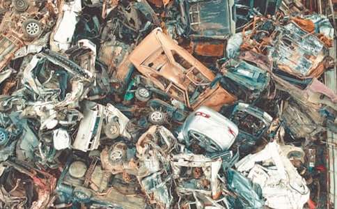 未来的垃圾箱作文