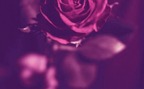 �����˸еľ���15ƪ