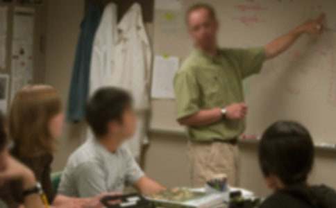 С����ʦ���׶������Ｏ��(15ƪ)