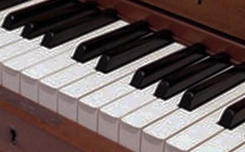 Сѧ�����ν�ѧ���