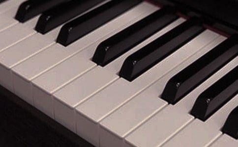 一件神奇的乐器作文精选15篇