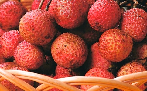 ��ϲ������֦����