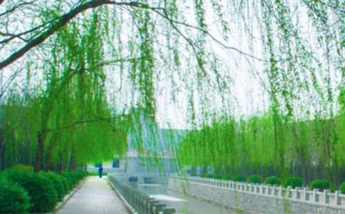 ����˵����