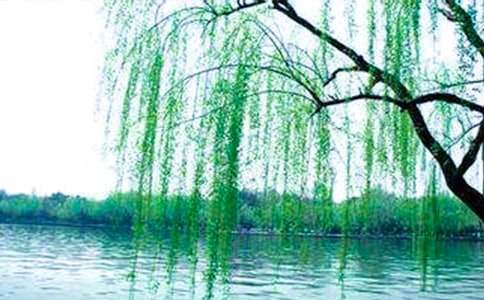 �Ұ���������15ƪ