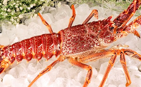 ����Ϻ����300�֣���ѡ74ƪ��