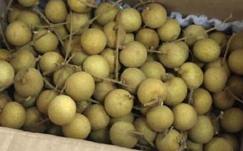 �������۵�����Сѧ����