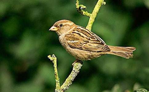 С��ȸ����(�ϼ�15ƪ)