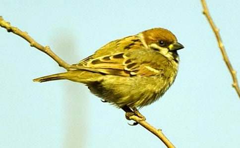 ������ȸ���и�18ƪ