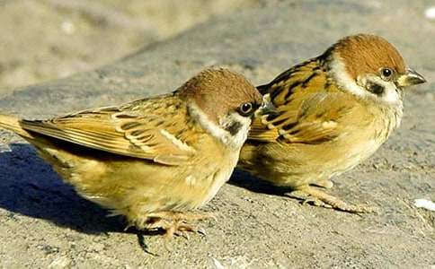 ��д��ȸ������