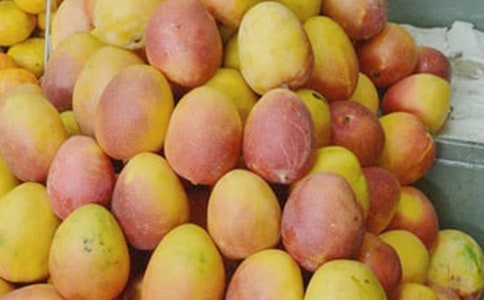 关于我爱芒果作文300字汇总5篇