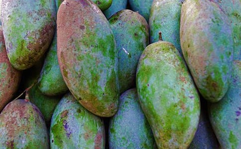 �����Ұ�â������300�ֻ��ܾ�ƪ