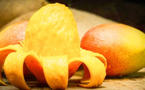 �����Ұ�â�����Ļ���ƪ