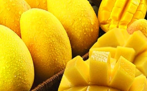 �����Ұ�â������ʮƪ