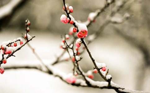 ÷����������5ƪ(�ر�)